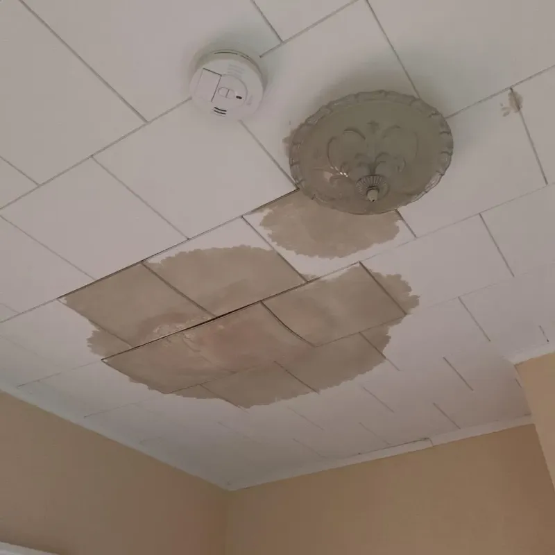 Ceiling Water Damage Repair in Crozet, VA