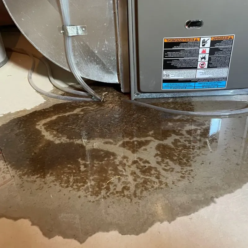 Pipe Burst and Leak Restoration in Crozet, VA